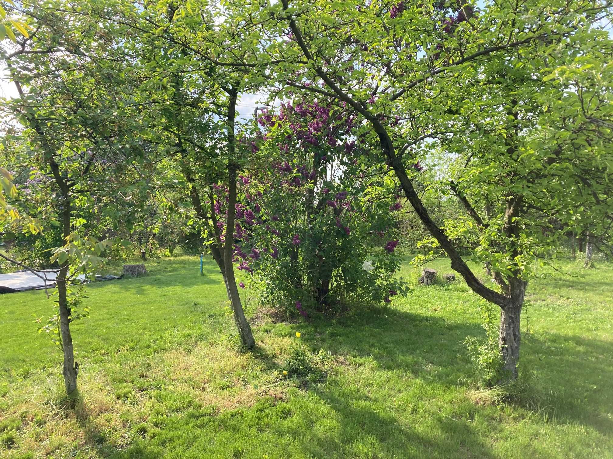 Ogródek działkowy ROD Solskiego