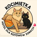 Kocimiętka Hotel dla Kotów w Żorach