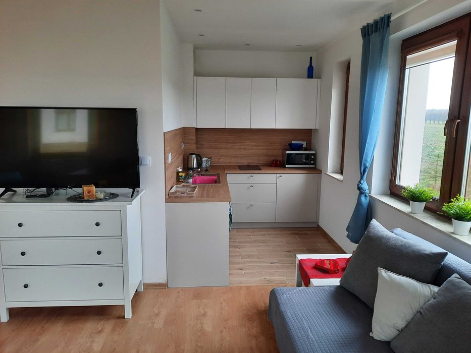 Kawalerka Wiercieńskiego Nałęczów od zaraz