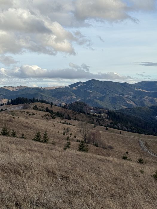 ТОП Дземброня 88сот