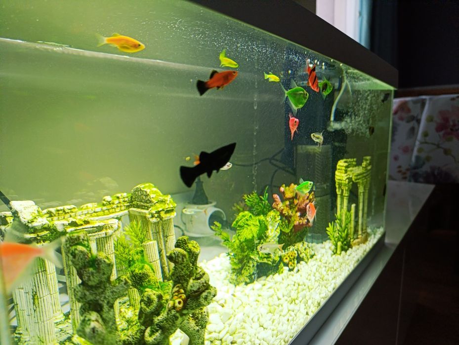 Продам новенький акваріум
