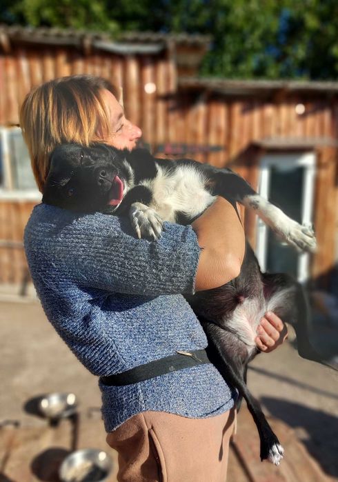 Tasha piesek, który leczy brak miłości. Ona przytuli Cię jak nikt inny