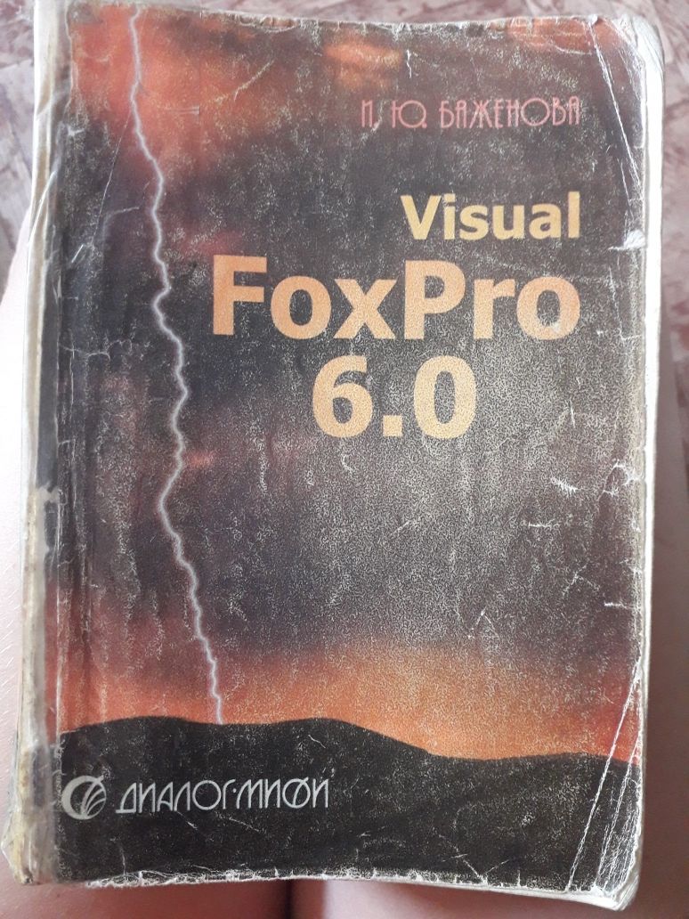 Книга Visual FoxPro 6.0