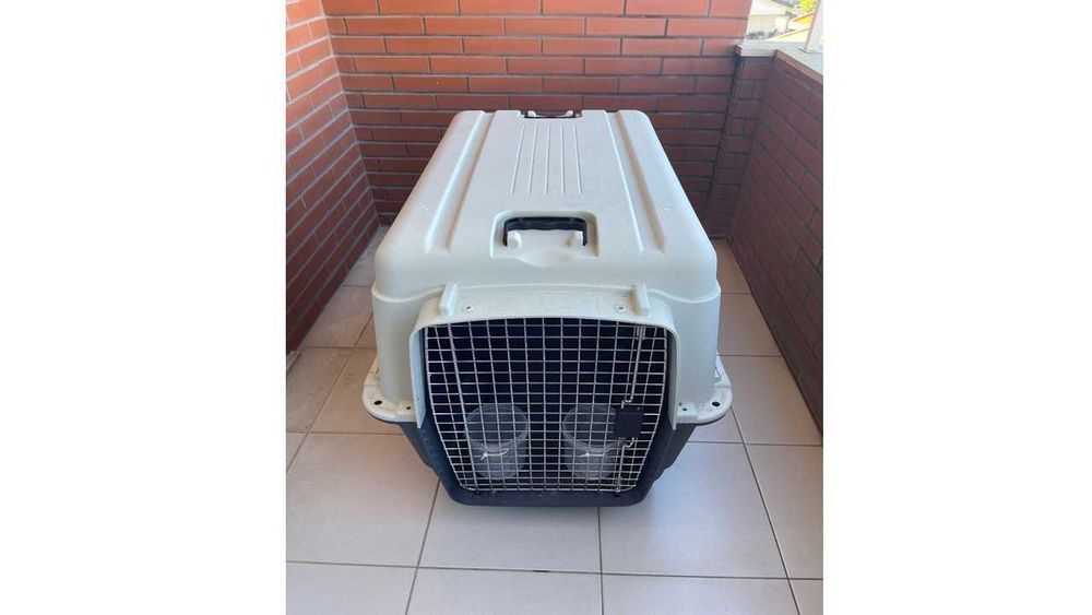 Caixa nova de Transporte para Cães