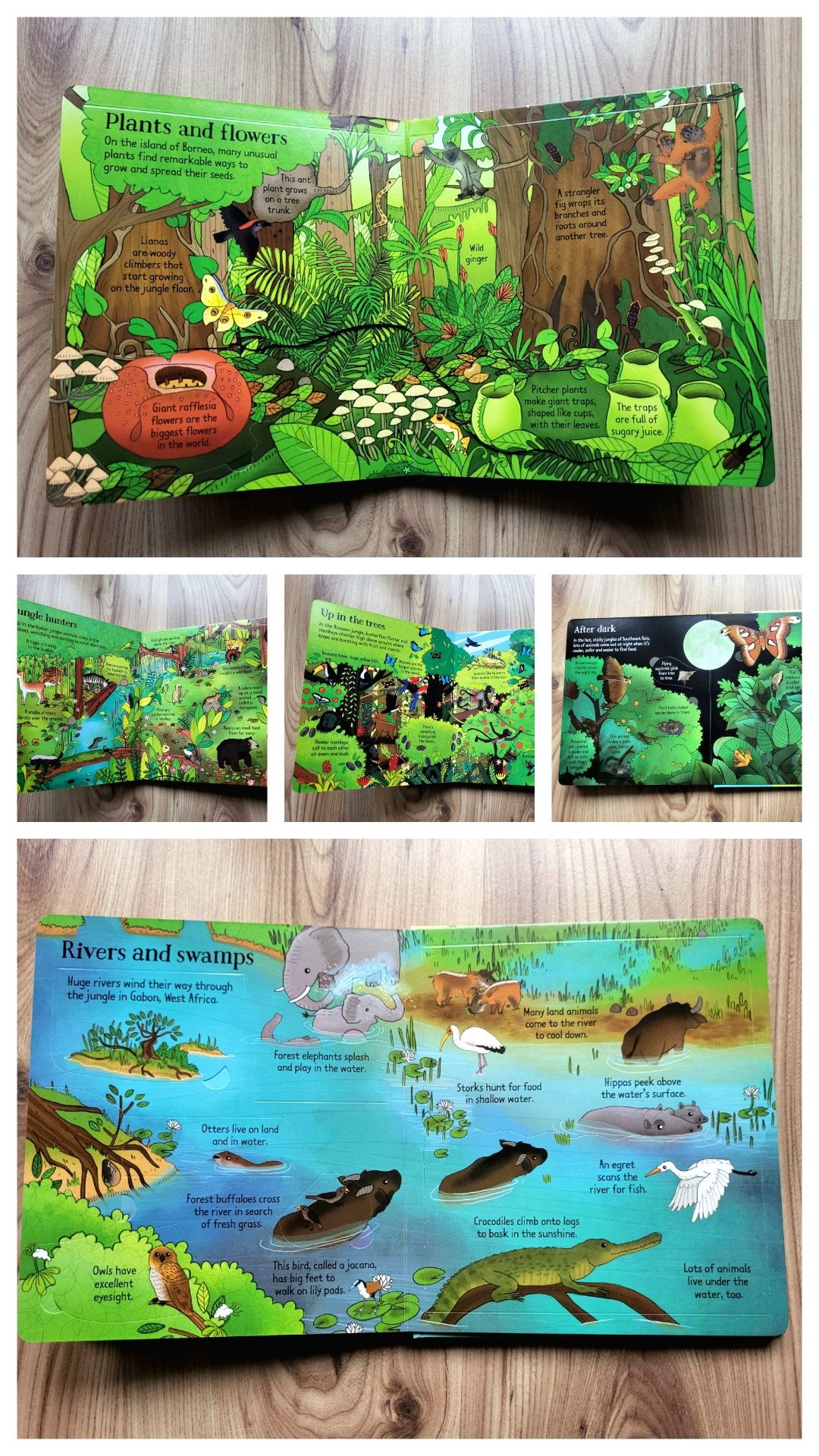 The Jungle Usborne Look Inside z okienkami po angielsku