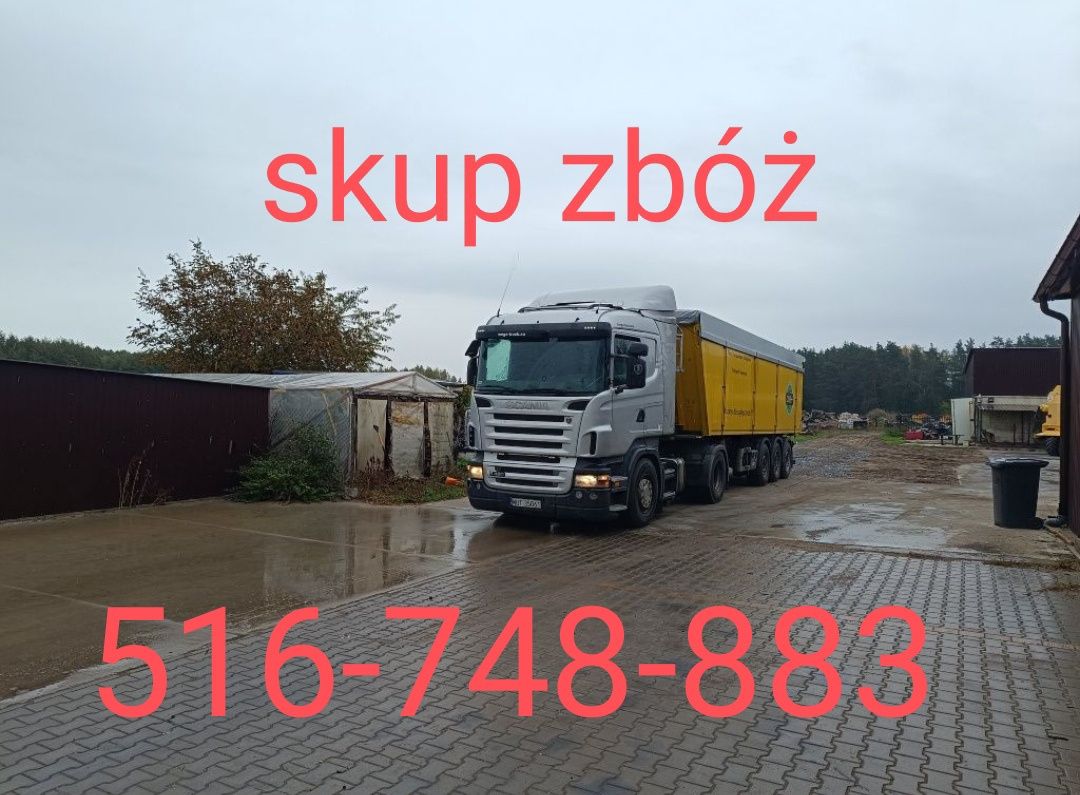 Żyto kukurydza jęczmień owies pszenżyto pszenica