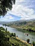 1a linha Rio Douro