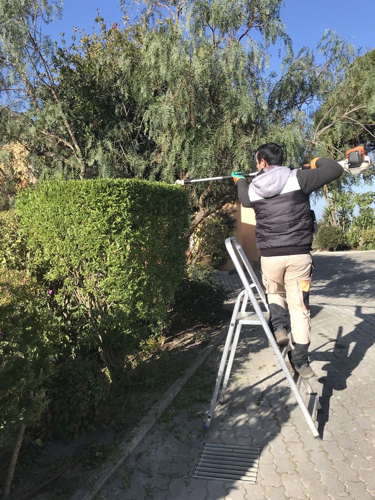 Jardineiro-Manutenção e remodelação de jardins e piscinas