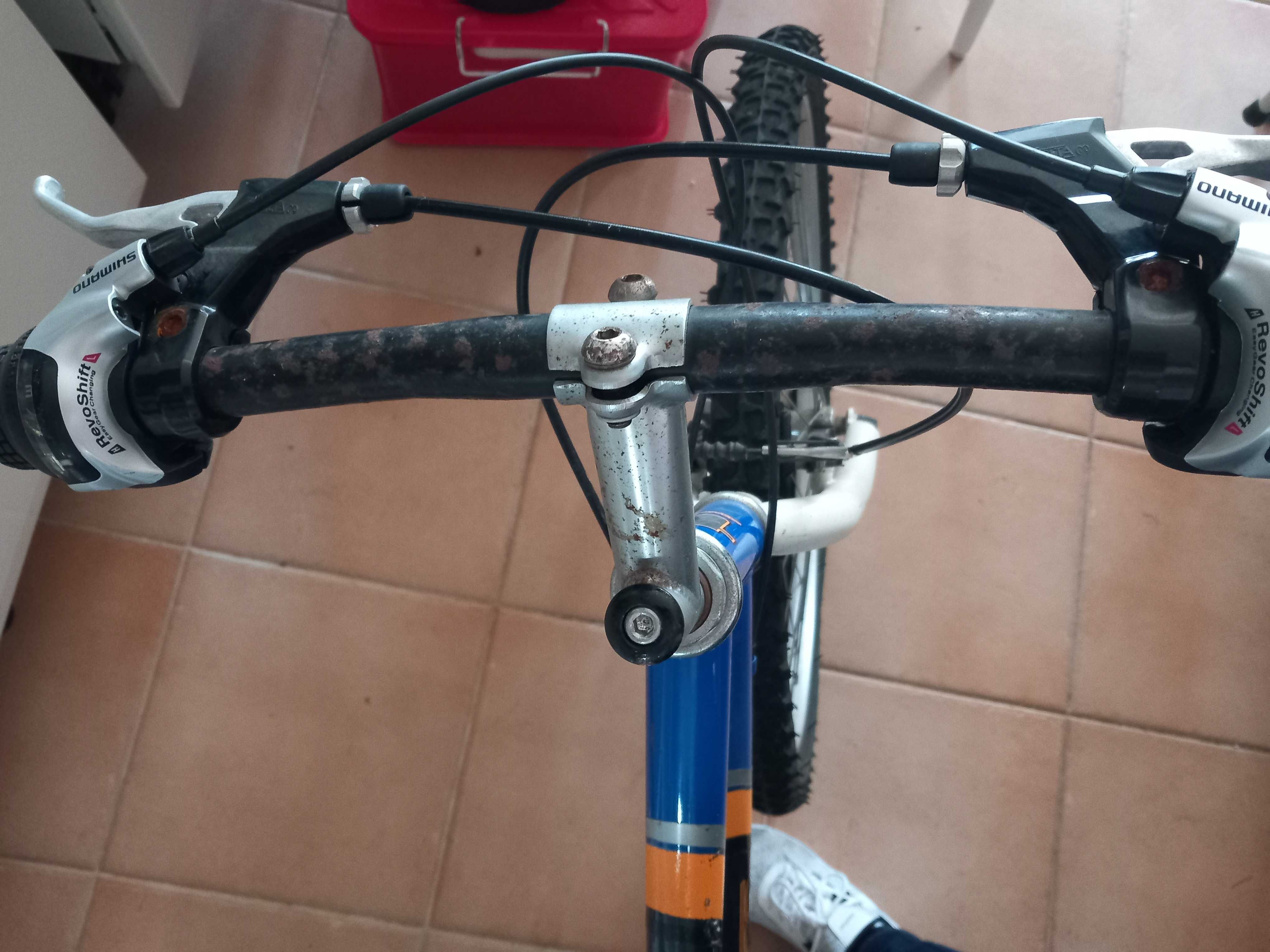 Bicicleta Nature team 200