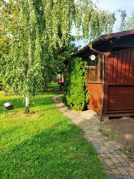 Noclegi dla firm,, Noclegi, Wąbrzeźno ,Radzyń chełmiński,Kowalewo