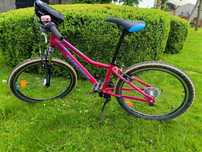Rower Kross rama 12"
