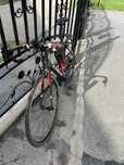 Trek Domane SL5 rozmiar 54