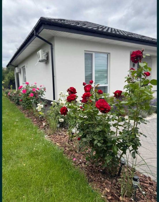 Будинок в Станишівці