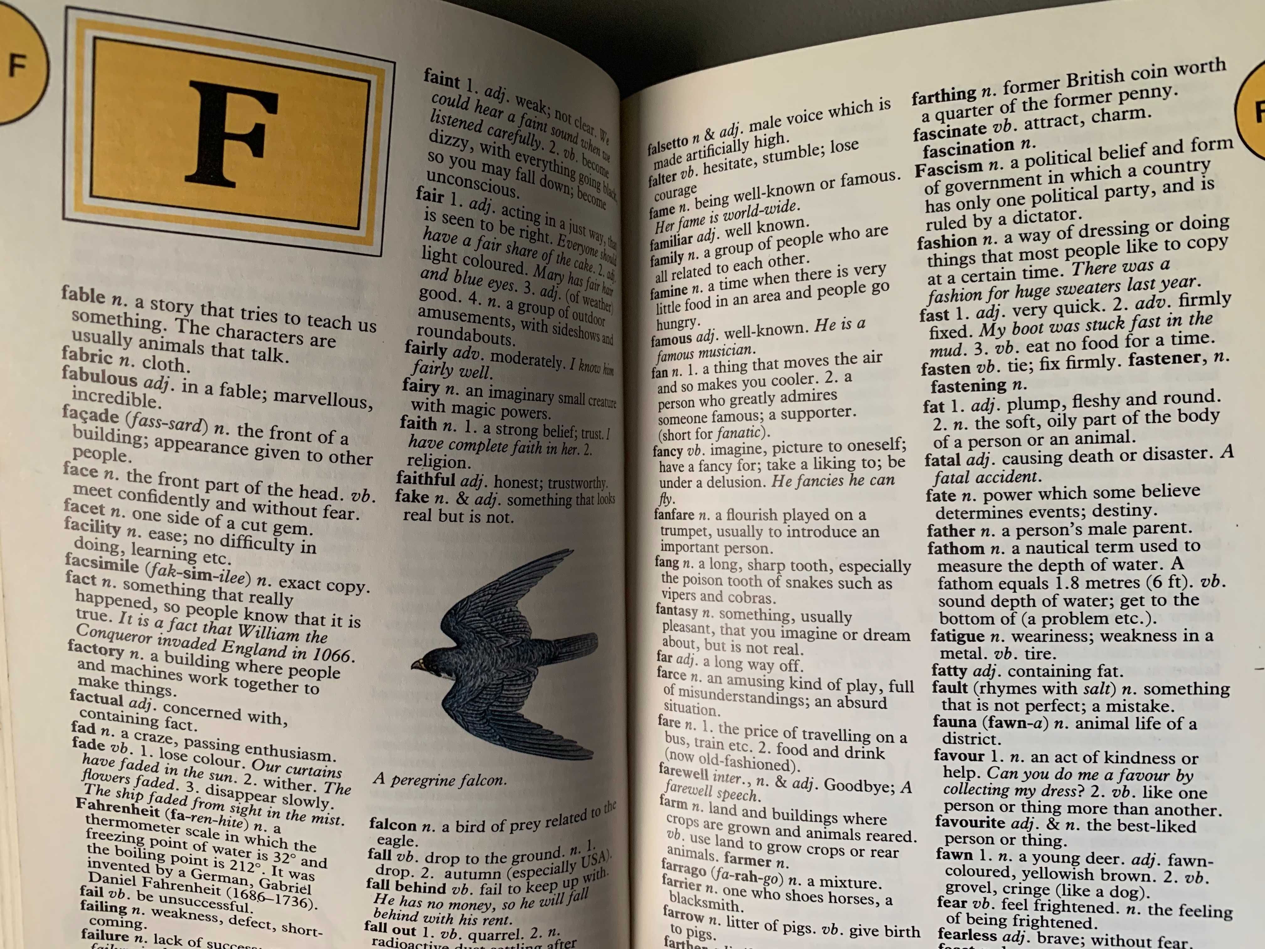 Pocket Dictionary (Inglês - ilustrado), de John Grisewood