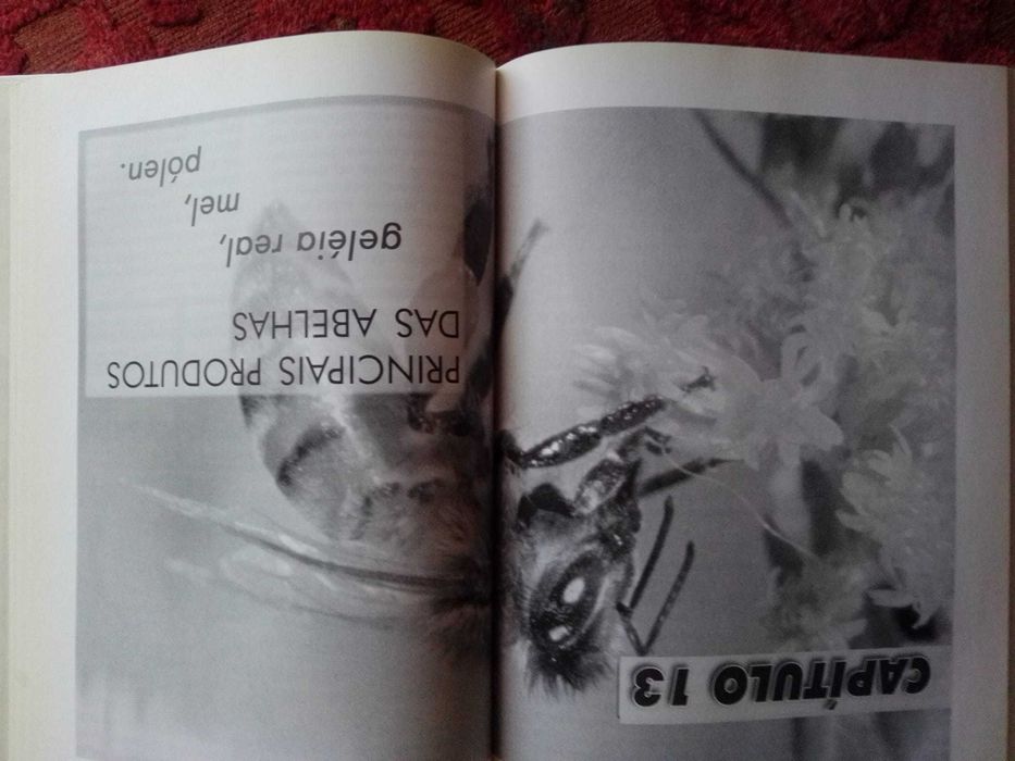 Livro - ´´VIVER MELHOR- Com medicina natural´´