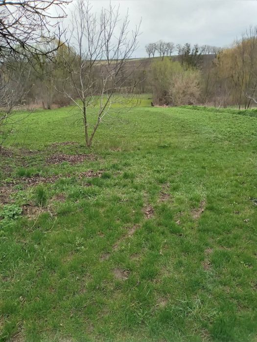 Ділянка з будинком