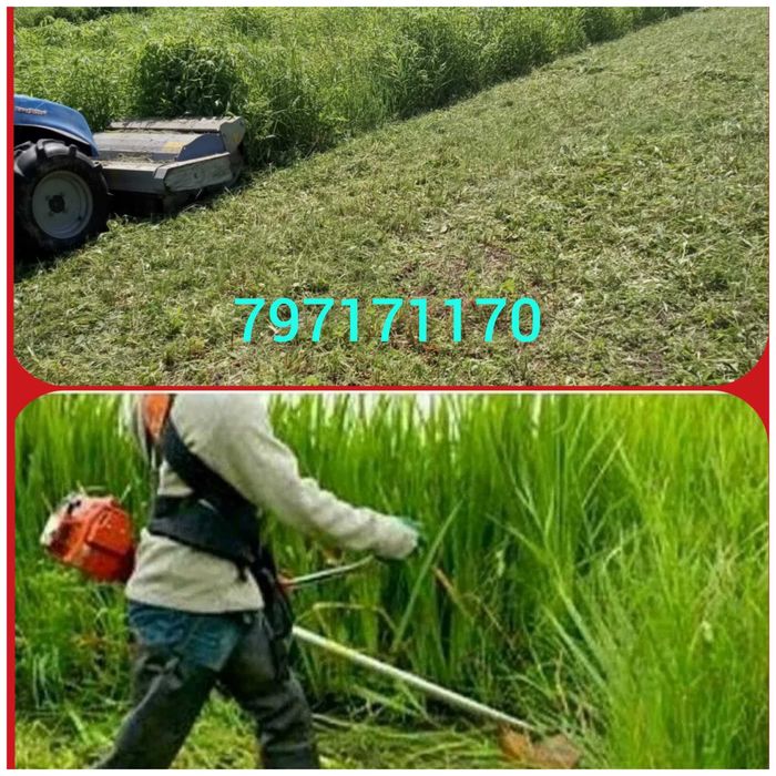 koszenie traw, kosiarka bijakowa, karczowanie działek,rębak,mielarka