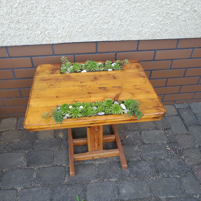 Stolik kawowy ogrodowy z sukulentami