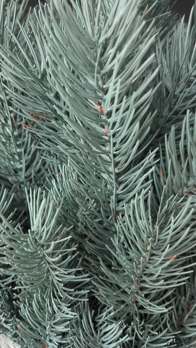 Продам штучну ялинку. Ель искувственная.