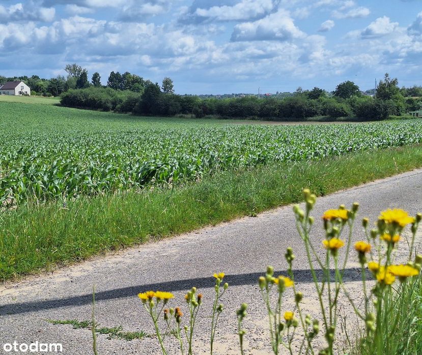 1213-SB ** Cisza, przestrzeń, niedaleko miasta **