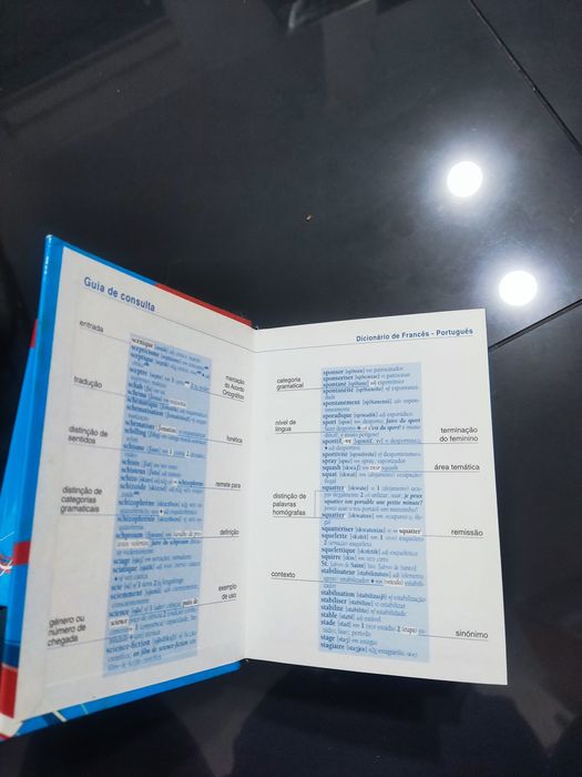 Dicionários francês - português