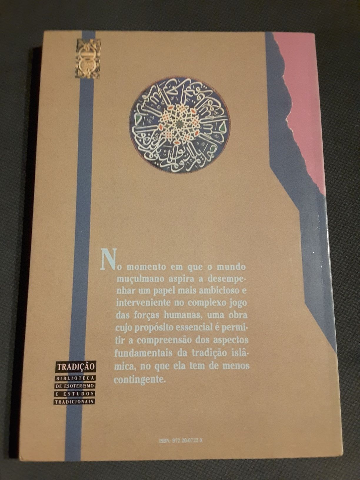 Compreender o Islão / Orissa. Antropologia e Literatura de Viagens