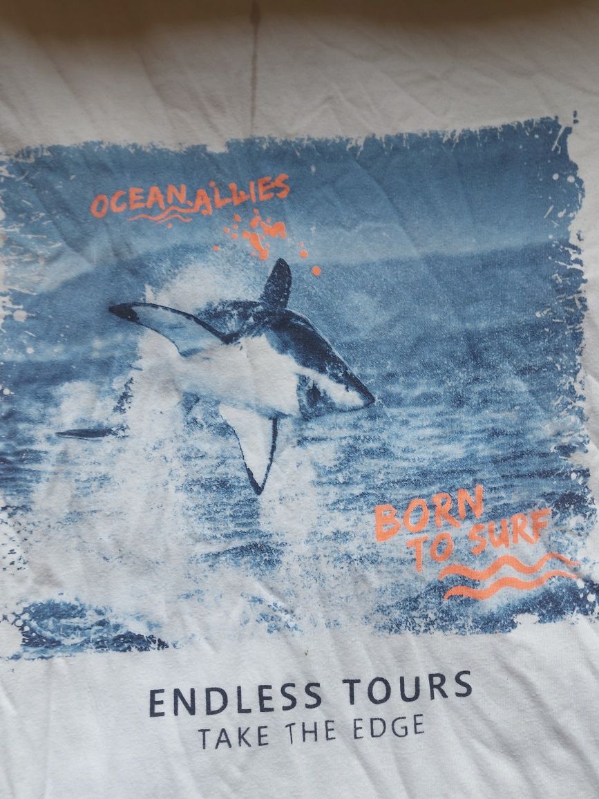 T-shirt dziecięcy rozmiar 158/164 firma Destination