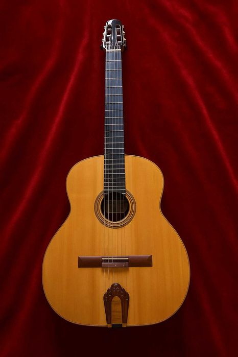 Guitarra Thijs van der Harst - Moustache