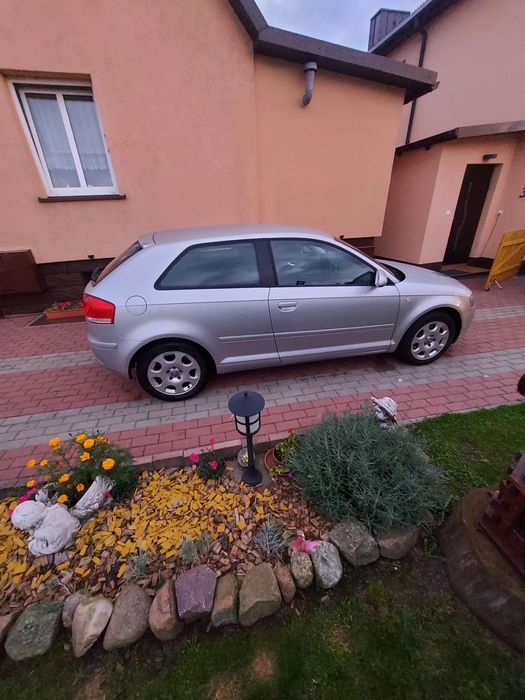 Audi A3 Audi Benzyna1.6 MPI