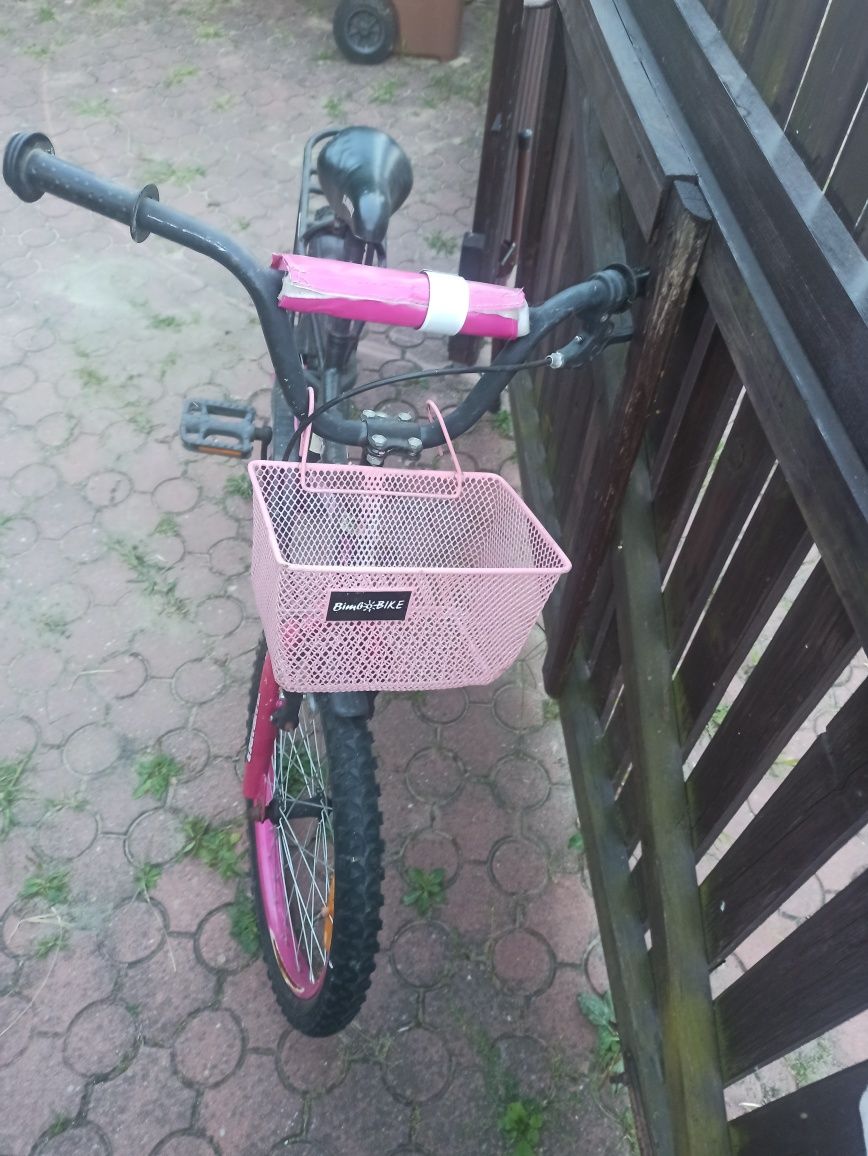 Rowerek dla dziewczynki teamraider