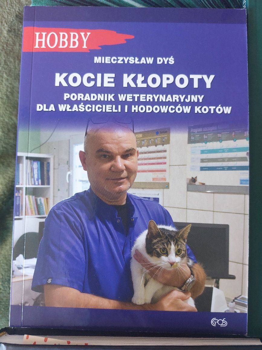 6 razy koty! Nowe, idealne!