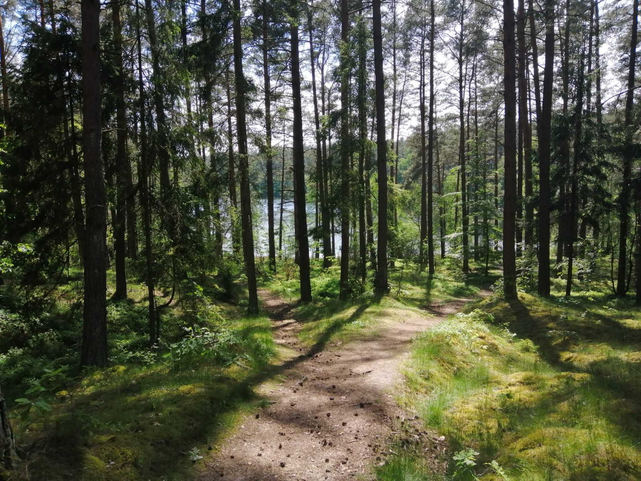 Domki na Kaszubach nad jeziorem Sosnowy Zakątek