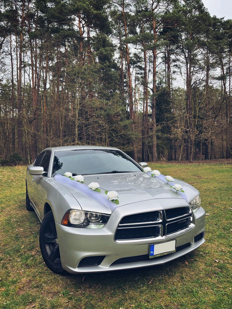 Samochód, auto do ślubu, Dodge Charger! 300KM Na wesele