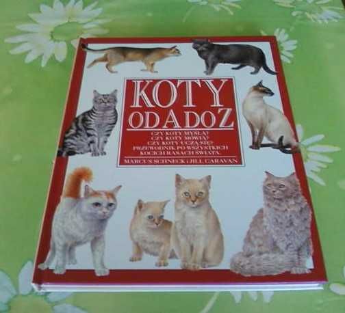 Koty od A do Z -poradnik