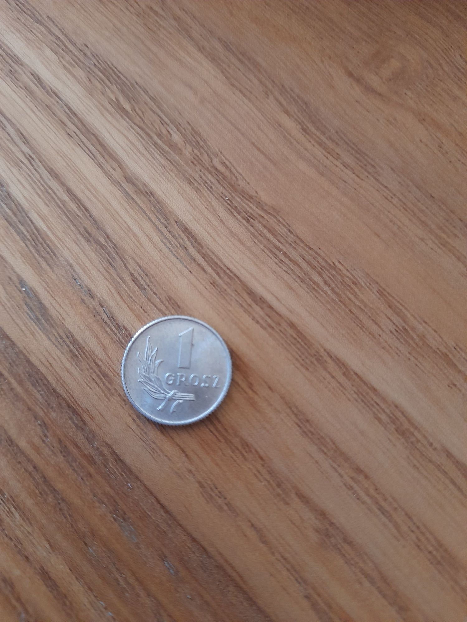 1 grosz z 1949 roku bez znaku mennicy