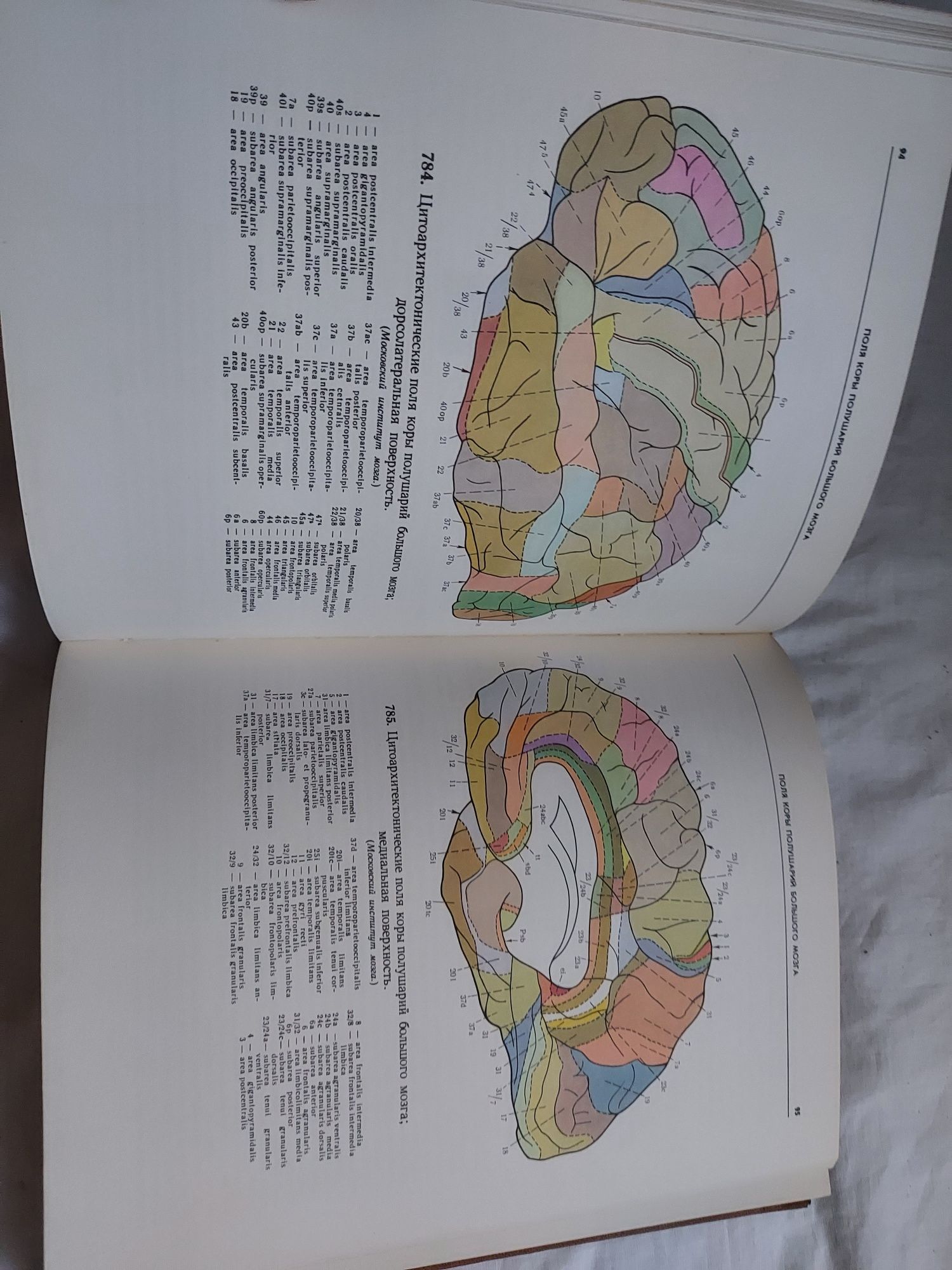 Atlas anatomii człowieka III Sinelnikov po rosyjsku