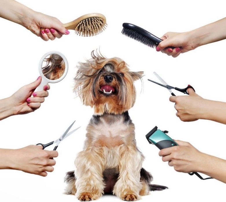 Грумінг Позняки Luxury Дарницький Лівий Берег