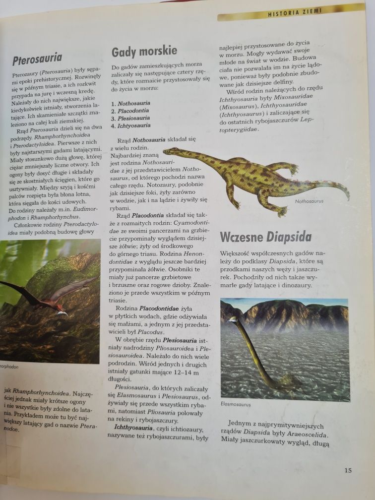 Dinozaury - Książka