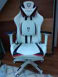 Fotel diablo x Ray