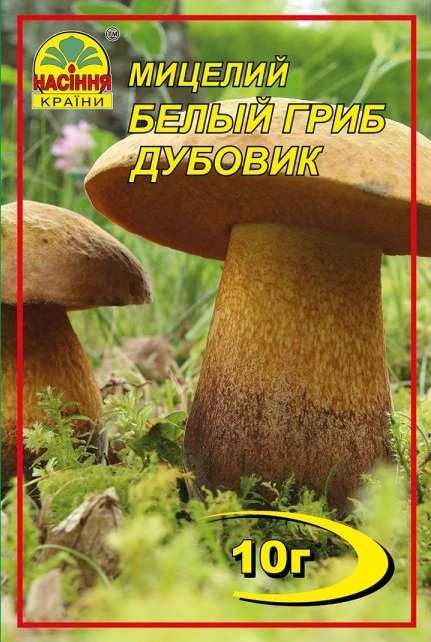 Мицелий грибов сухой