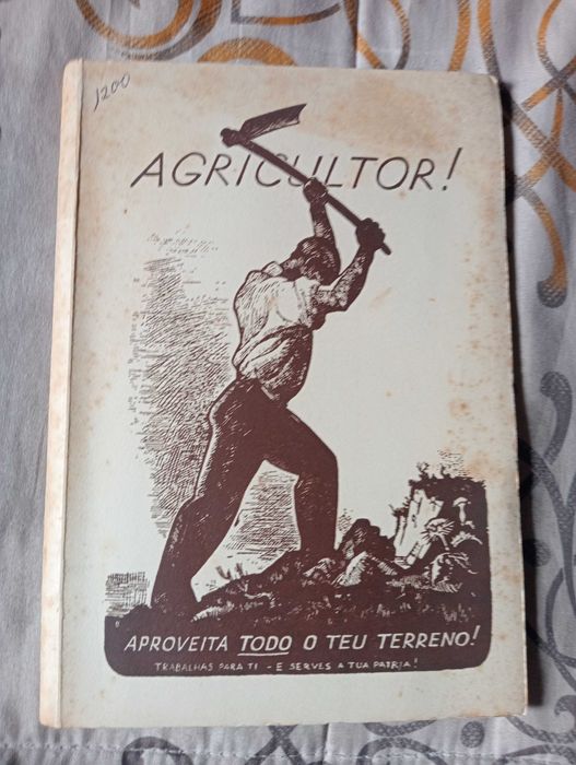 Agricultor! Aproveita todo o teu terreno.