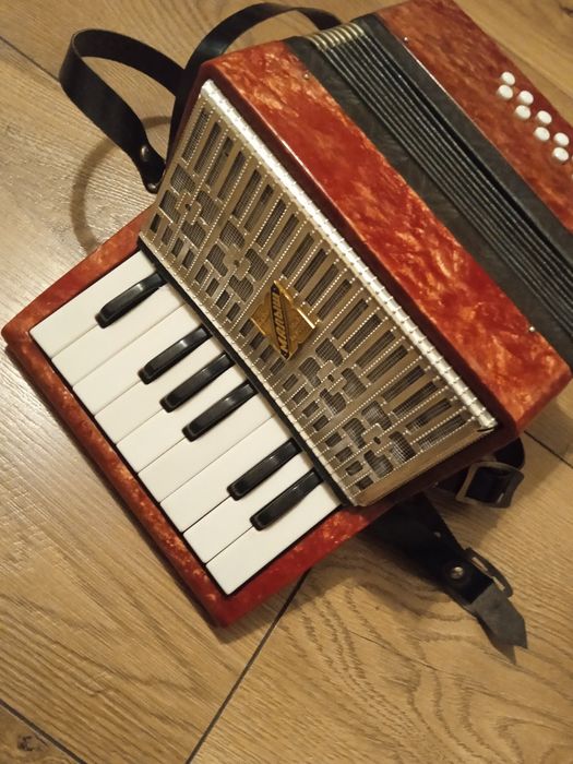 Akordeon dla dziecka