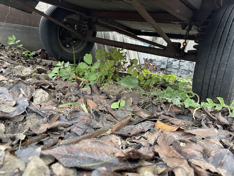 Продам прицеп ЕЖ 8125