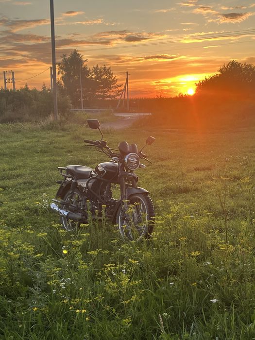 Mustang fit 1 125, Альфа