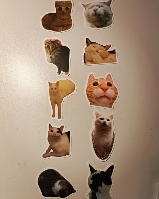Наліпки котики мемчики