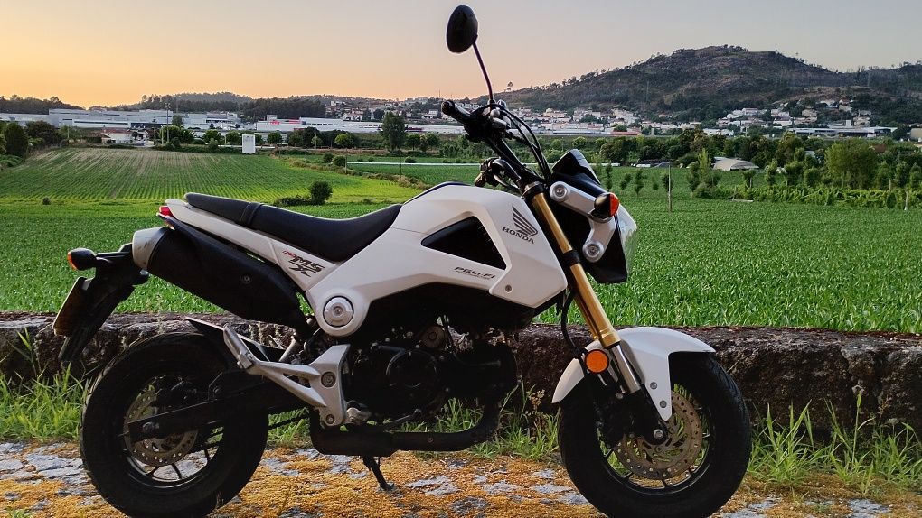 Honda msx 125 original