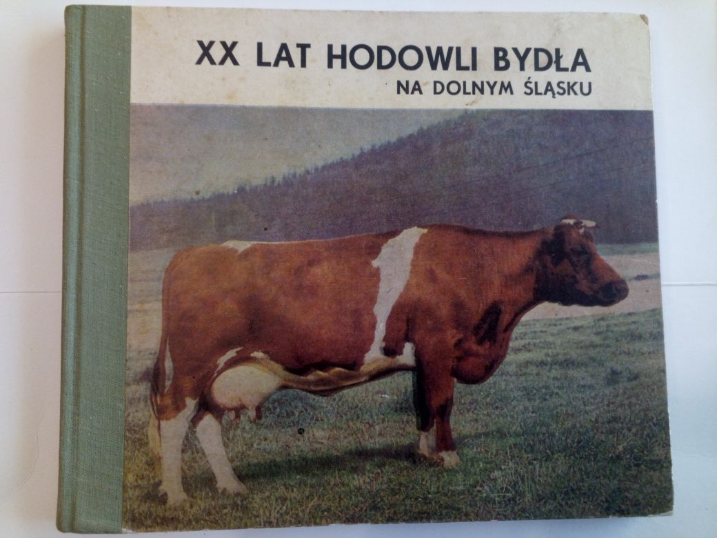 XX lat hodowli bydła na Dolnym Śląsku