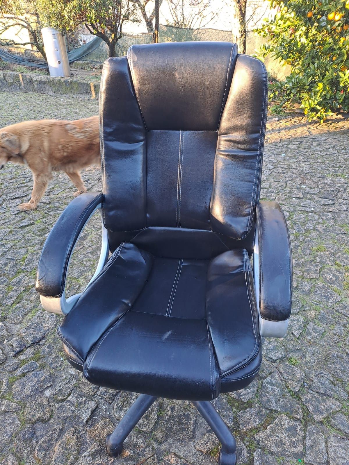 Cadeiras de escritorio, com rodas, a funcionar perfeitamente. Com elev