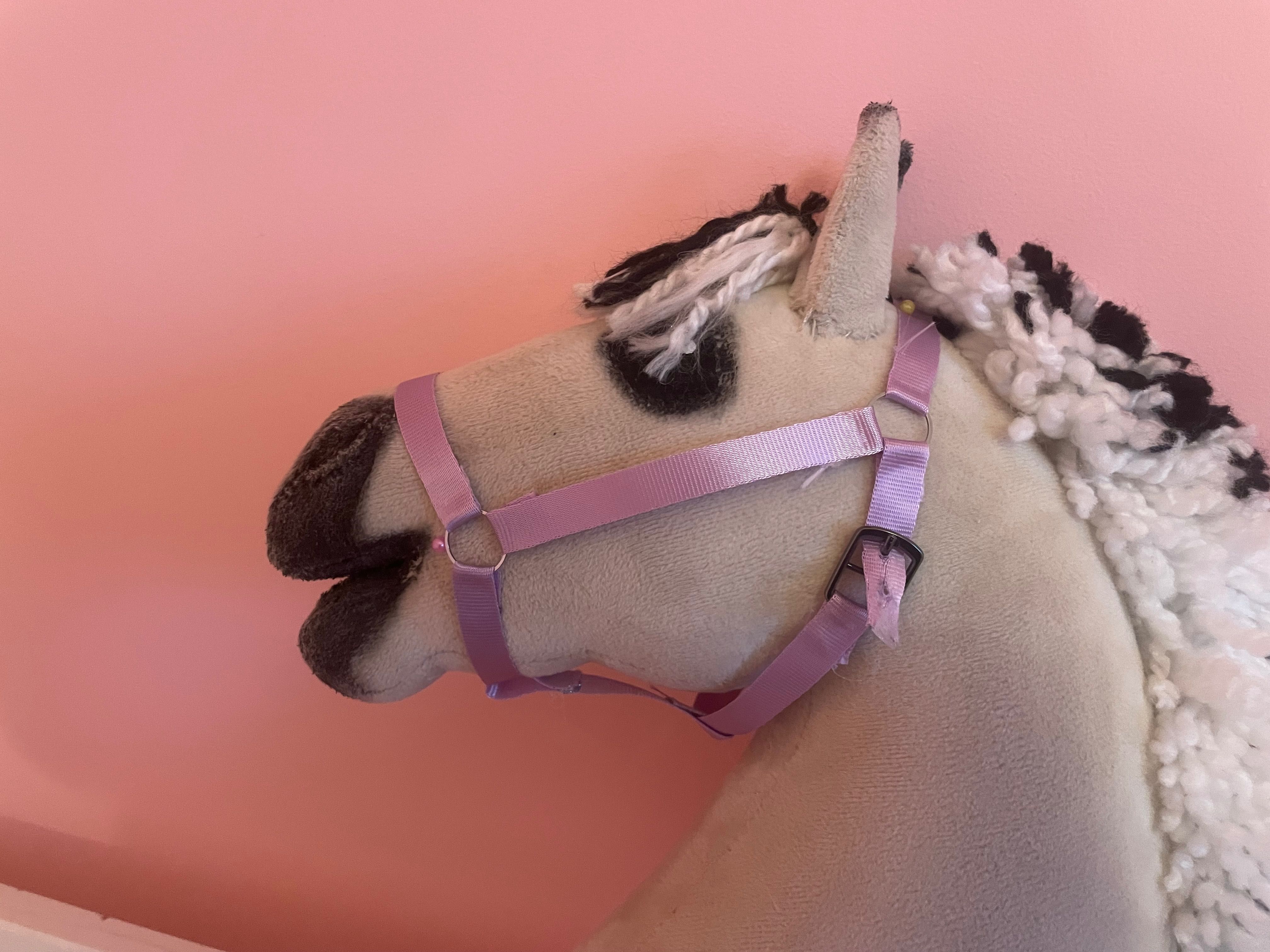 Kantar dla hobby horse