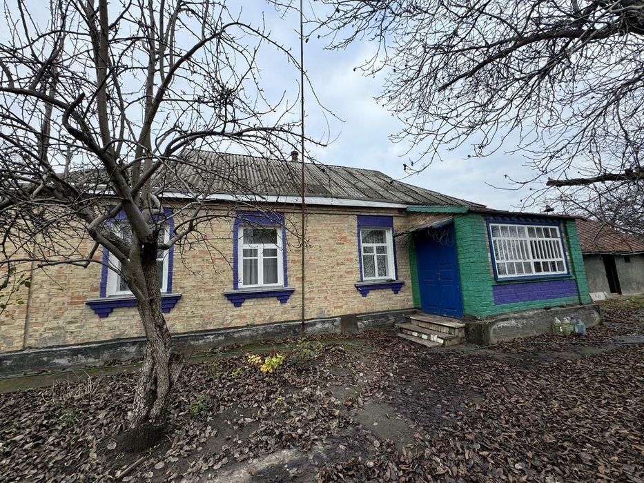 Продам будинок в центрі села Стави